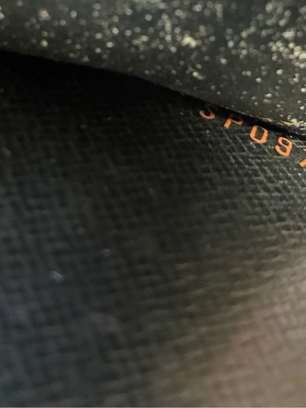 LV Red Epi MM Agenda